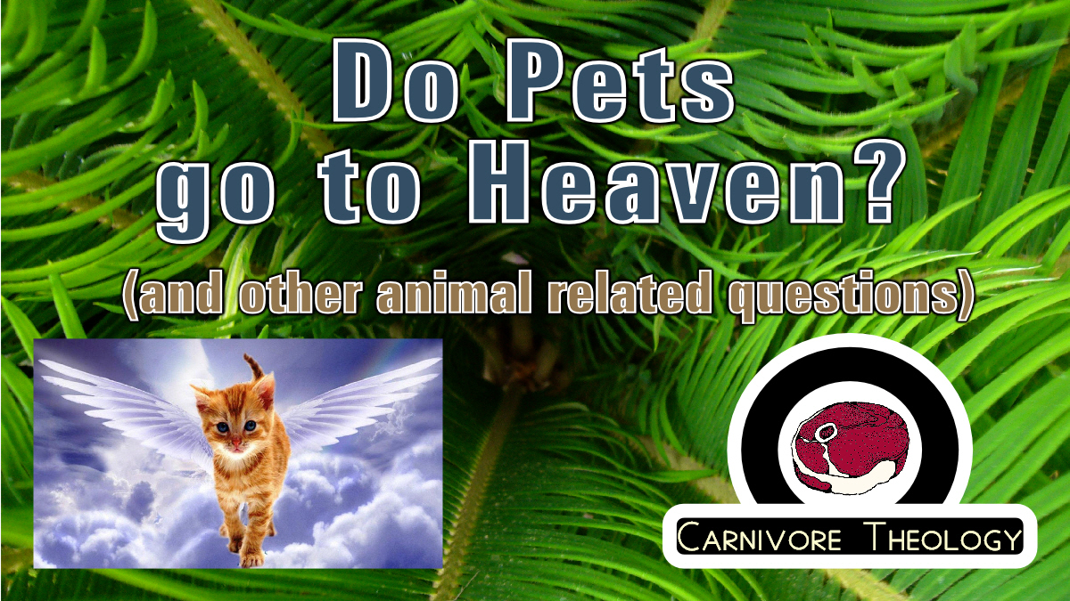 Do Our Pets go to Heaven? (Carnivore Theology: Ep. 28)