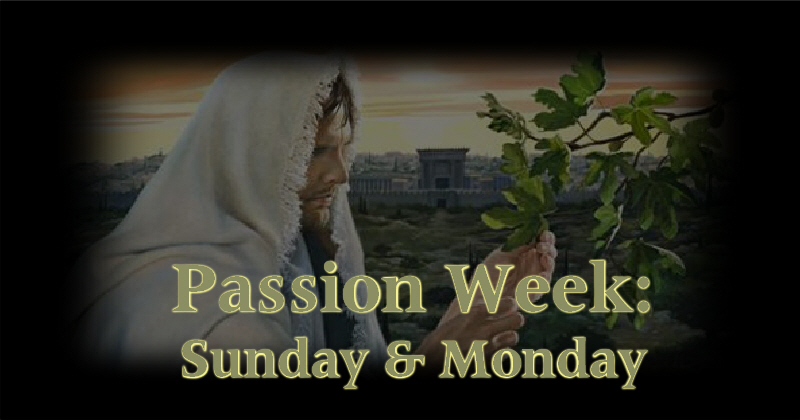 Passion Week Series: Palm Sunday & Monday (Cursing the Fig Tree, Cleansing the Temple)