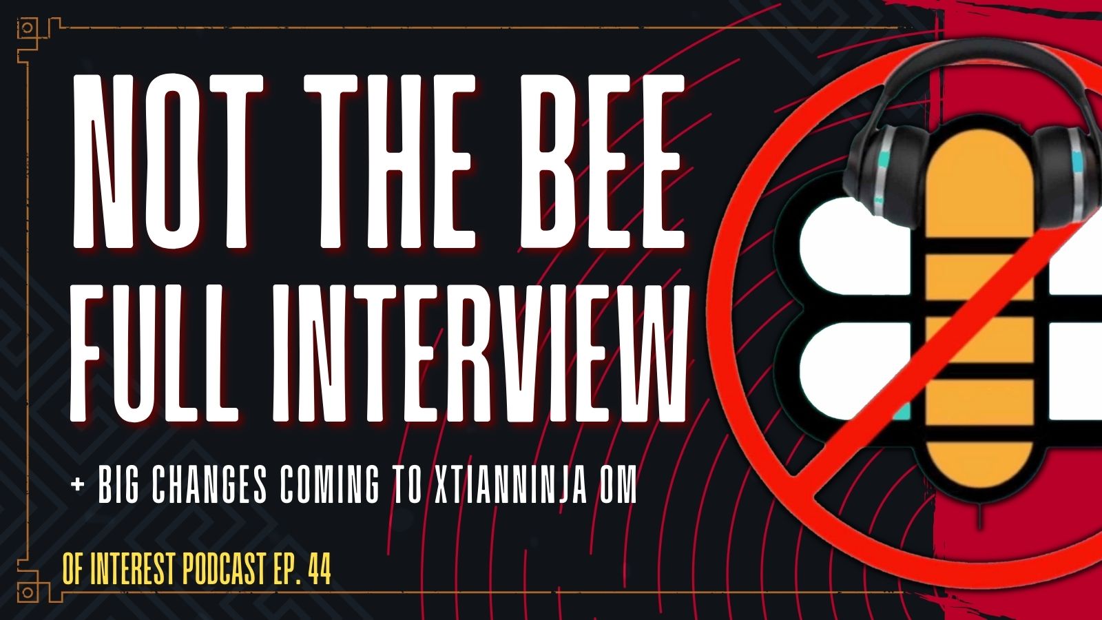 Not the Bee FULL Interview! + Big Changes Coming to XtianNinja OM