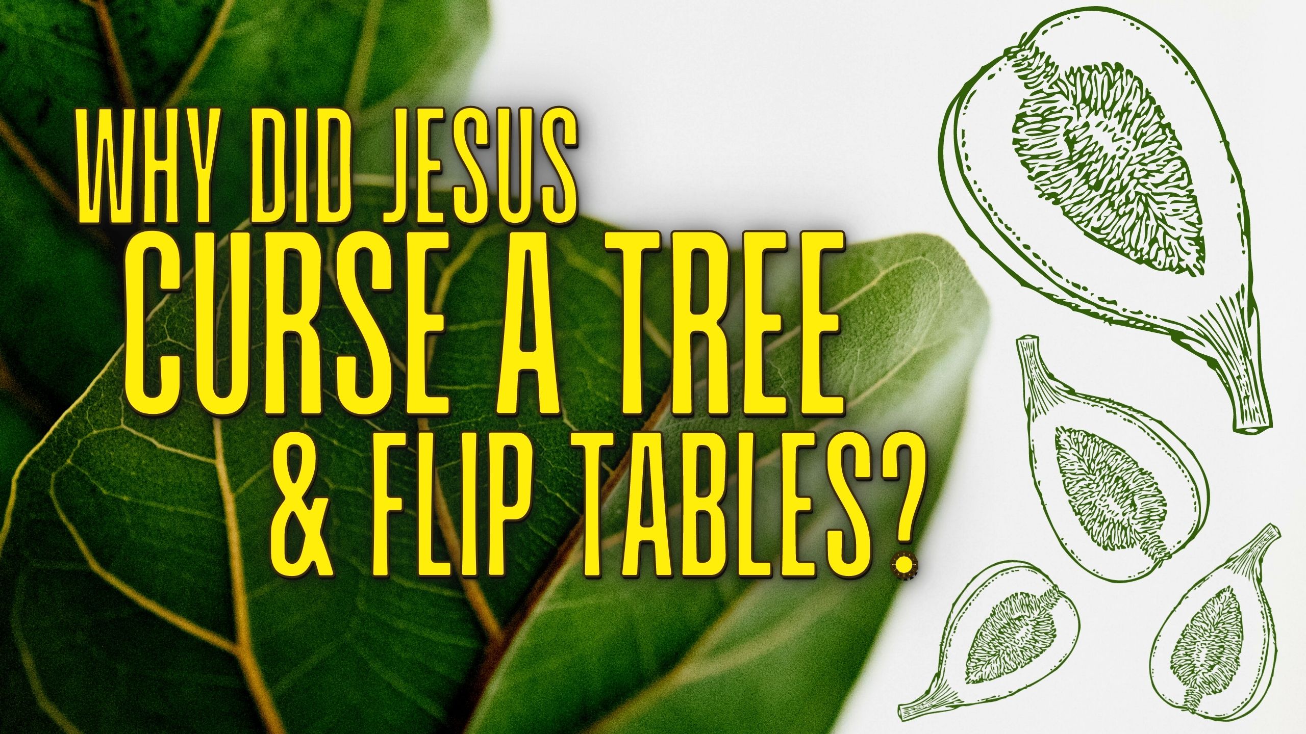 Cursing Figs & Flipping Tables: Passion Week Monday